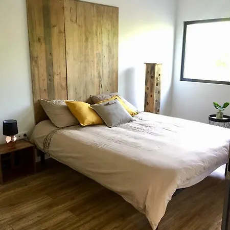Le gîte de Ninon et Léon. Eguisheim Extérieur photo